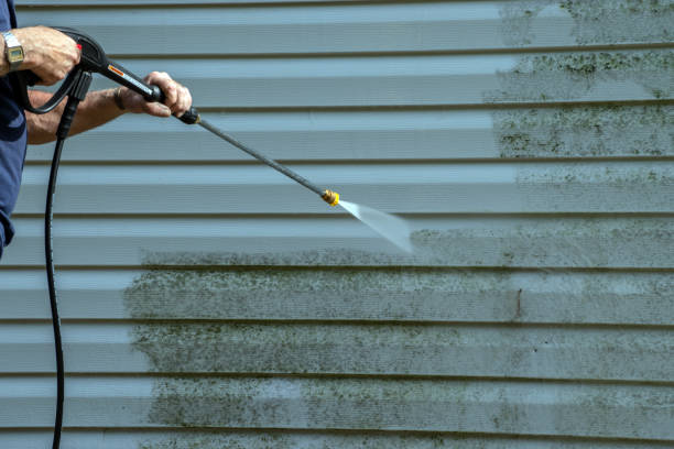 Solar Panel Cleaning in Honokaa, HI